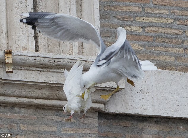 popefrancisdoves3