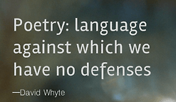 tumblr_mroxs3Z6oI1rluimyo1_250 - Copy