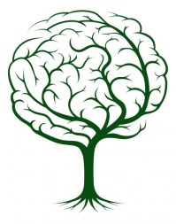 brain-tree-learning-490x622