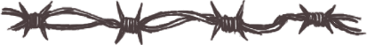 Barbed-Wire-Divider