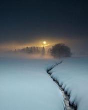 beautifulmoon