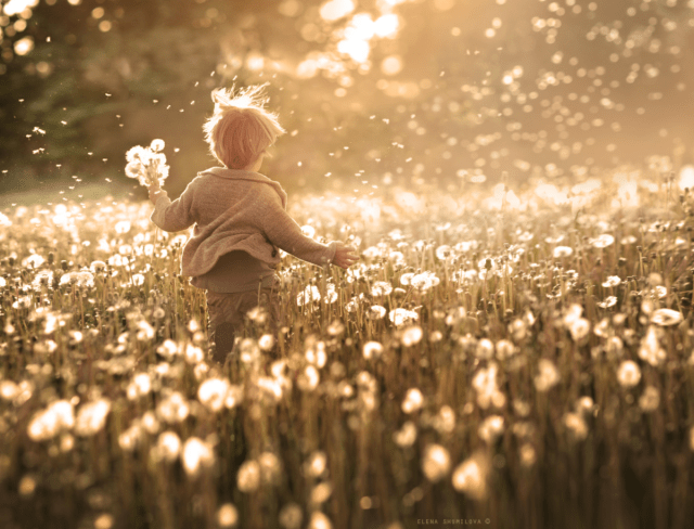 ChildWithDandelions
