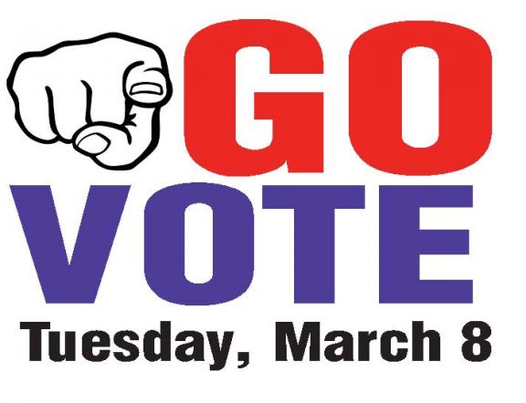 Go Vote