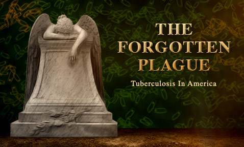 plague_film_landing-dateless