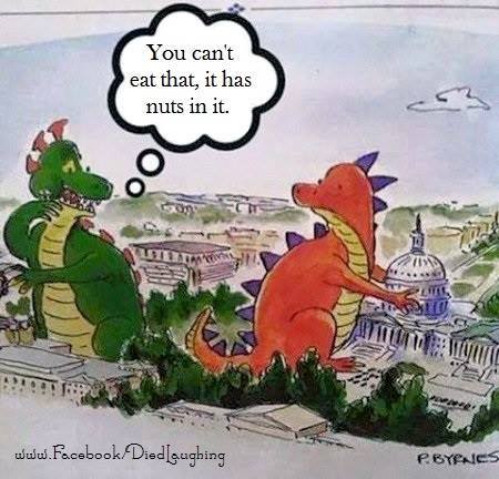 NutsInIt
