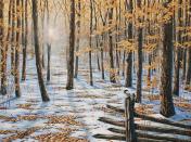 late-fall-early-winter-jake-vandenbrink