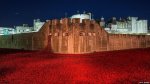 poppies2015london