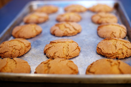 molassescookies